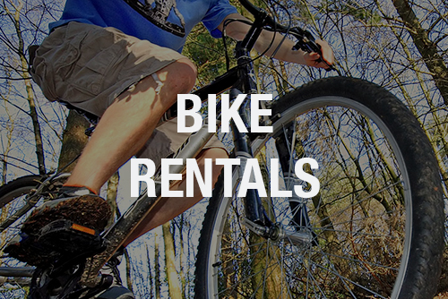Bike Rentals